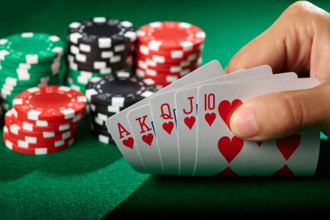 playing web based betting